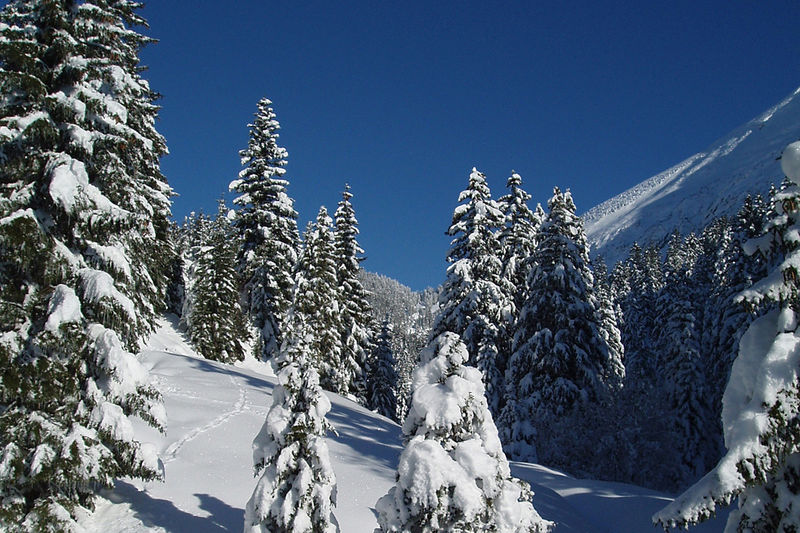 Altschen - Schneeschuhtour