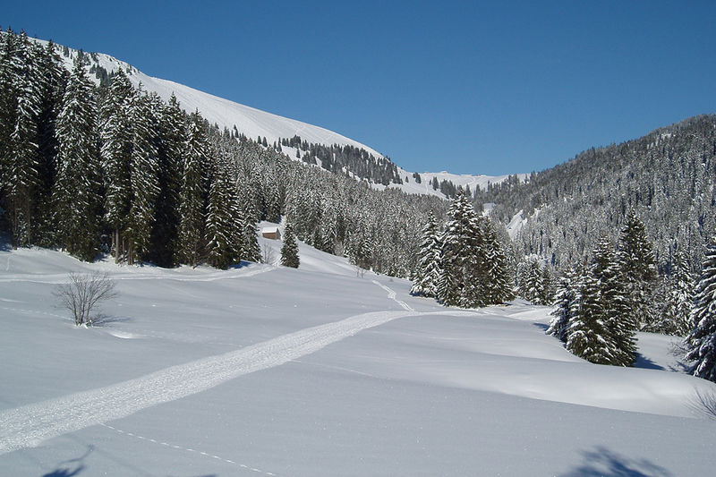 Egg - Schneeschuhtour