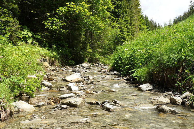Familienwanderung am Beerenbach