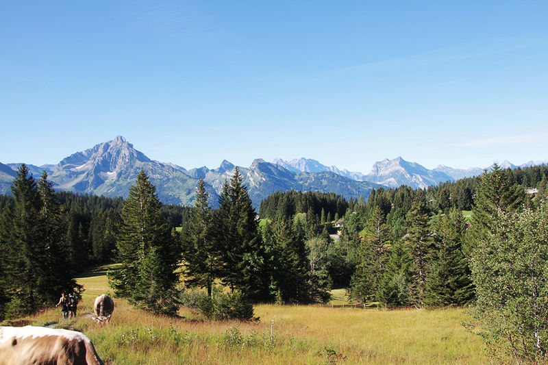 Rundum zum Flügenspitz