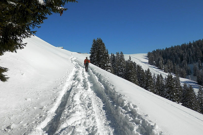 Um den Flügenspitz - Schneeschuhtour
