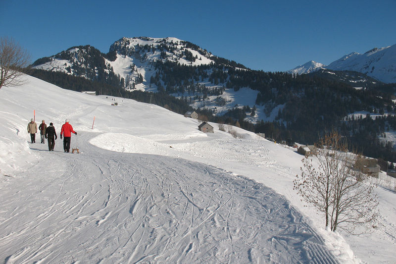 Hinter Höhi - Winterwanderung