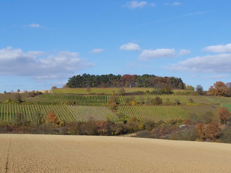 Hermannsberg