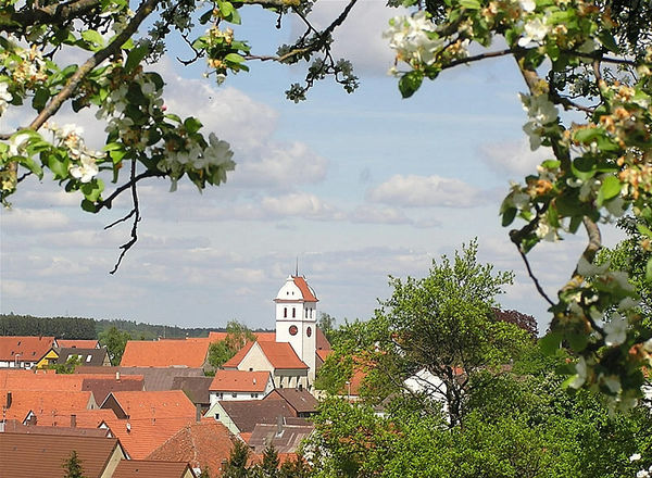 Asselfingen