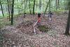 Hertinger Wald