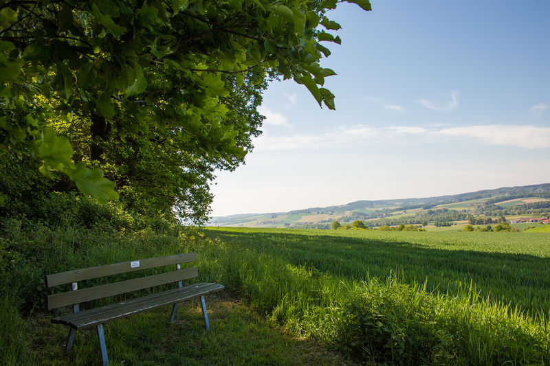 Bank mit Ausblick | Bad Birnbach
