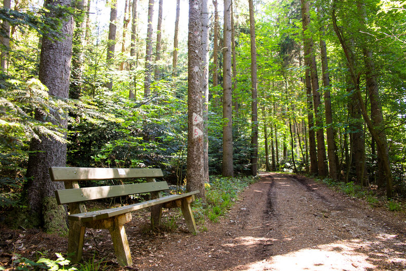 Bank am Waldweg | Bad Birnbach