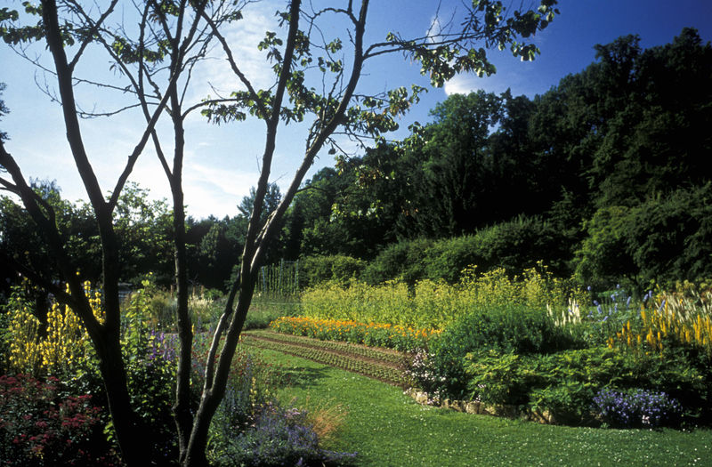 Kräutergarten