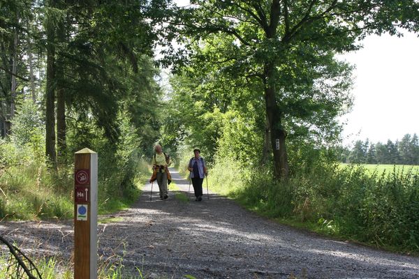 Etappe 3 Von Bad Emstal Nach Naumburg Grimmheimat Nordhessen