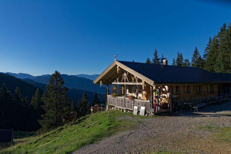 Hornle Alm Ammergauer Alpen