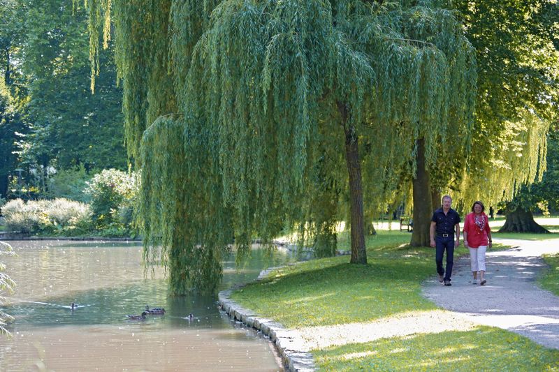 Schlosspark Bad Mergentheim Urlaubsland Baden Wurttemberg