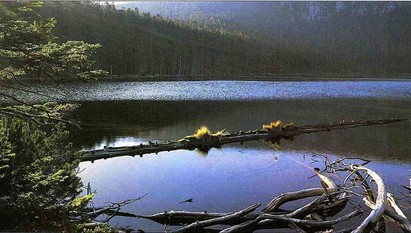 Schwarzer See (Cerne jezero) im Sumava (Böhmerwald)