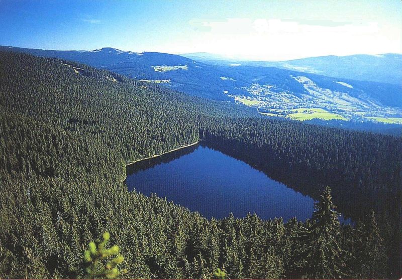 Teufelssee | Bayerischer Wald