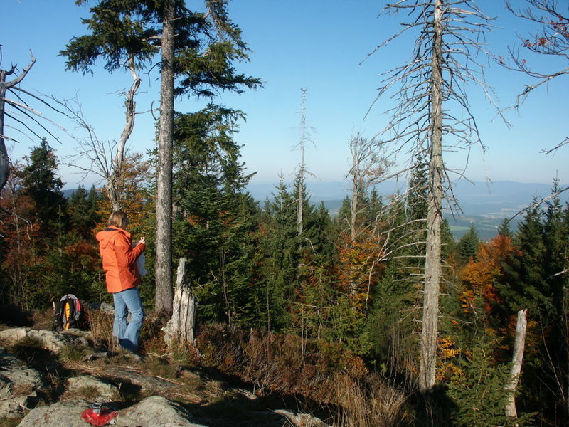 Wandererlebnis auf dem Klausenstein bei Bernried im Bayerischen Wald