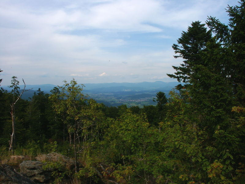Blick vom Vogelsang zum Arber im Bayerischen Wald