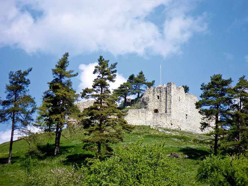 Burgruine Lichtenegg, Birgland