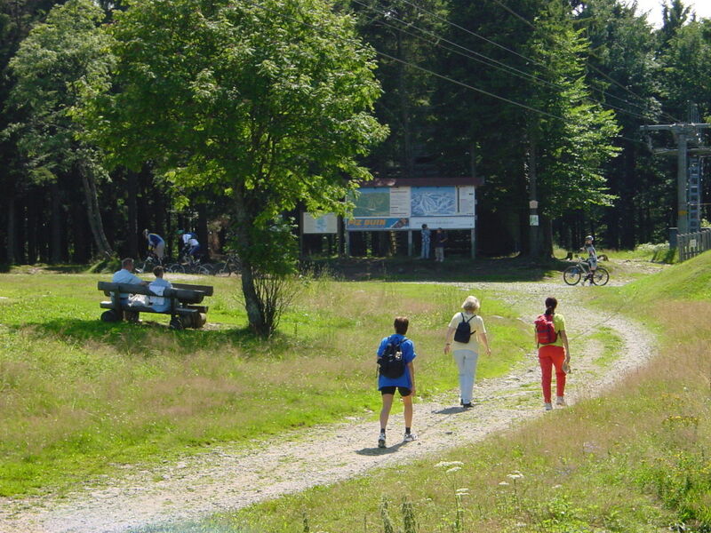 Geißkopf Goldsteig Wandern