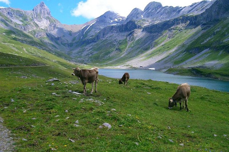 Glattalpsee | Ferien im Glarnerland