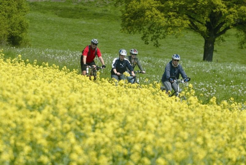 Radfahrer