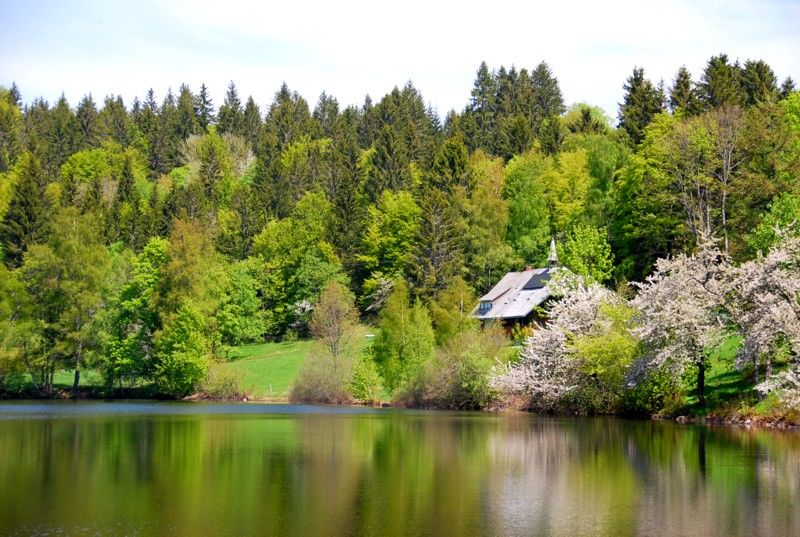 Klosterweiher in Dachsberg