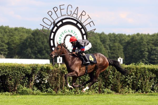 Pferderennbahn Hoppegarten Pferderennbahn Hoppegarten