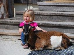 Kinderspaß mit Tieren auf Gut Aiderbichl