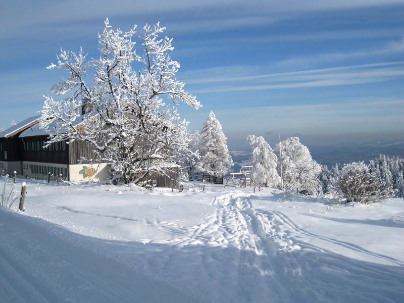 Schneeschuhwandern Im Ruselgebiet Bayerischer Wald