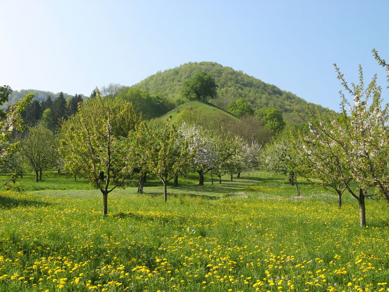 Calverbühl bei Dettingen an der Erms