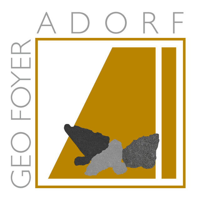 Logo des Geo Foyer