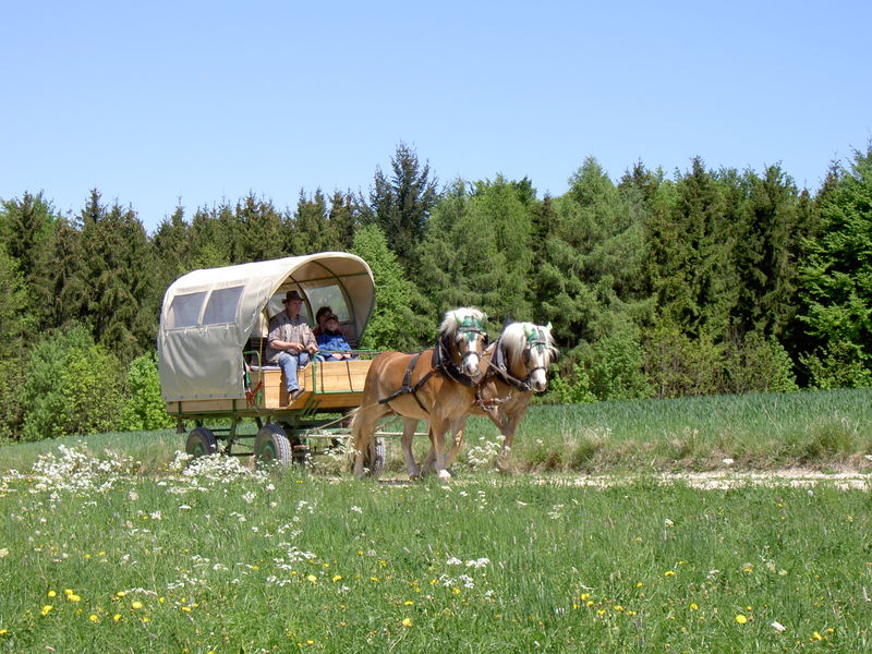 Wanderreitstation Holzmann | Schwaebische Alb