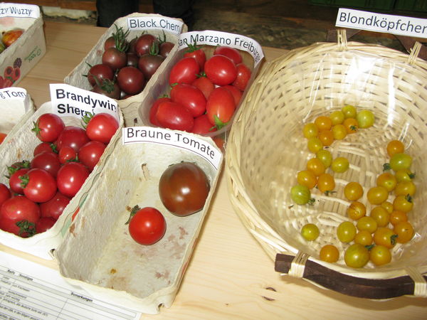 Samengarten Schwarzwald Tourismus Gmbh