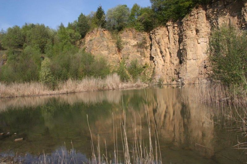 Naturschutzgebiet Kallenberg