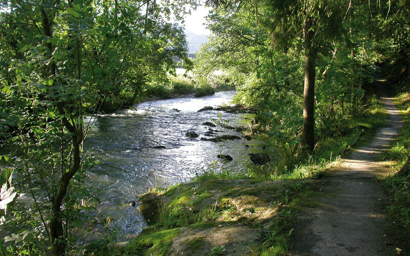Die Wenne bei Wenholthausen