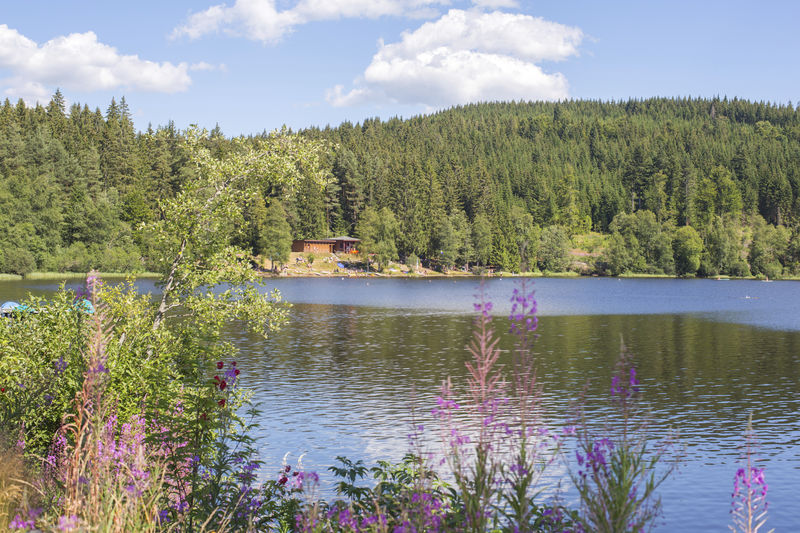 windgfällweiher mit Blick auf Strandbad
