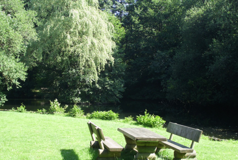 Ruhrmann´s Teich