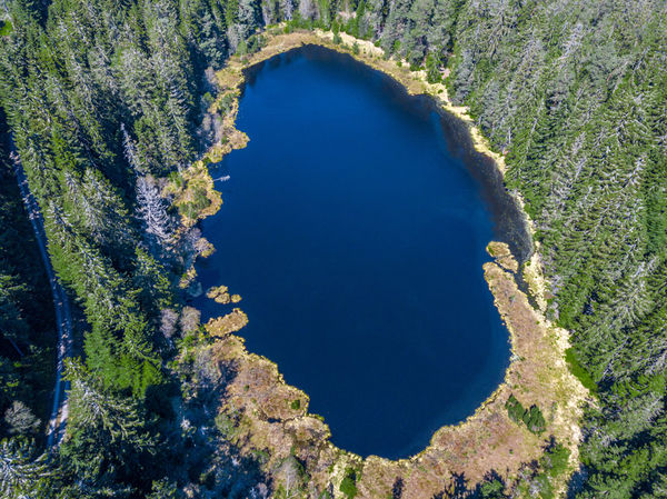 ForbachHerrenwies Herrenwieser See Schwarzwald Tourismus GmbH