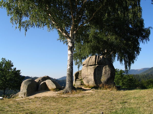 Forbach Schwarzwald Tourismus GmbH