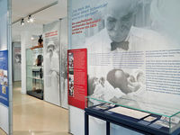 German Albert Schweitzer Museum Frankfurt Tourism