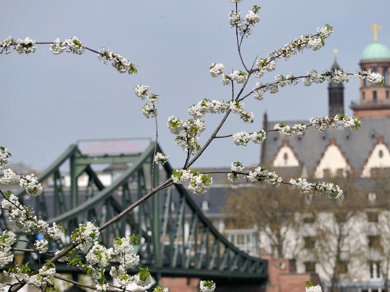 Eiserner Steg