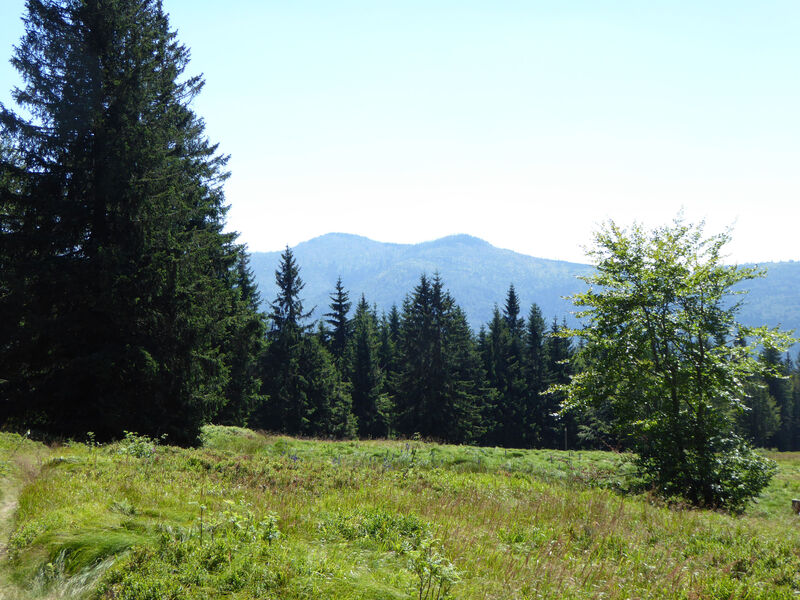Rachelblick vom Lindbergschachten