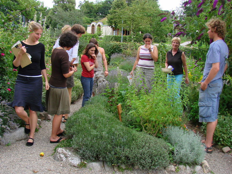 Visita guiada de hierbas medicinales en la Estación Ecológica Friburgo