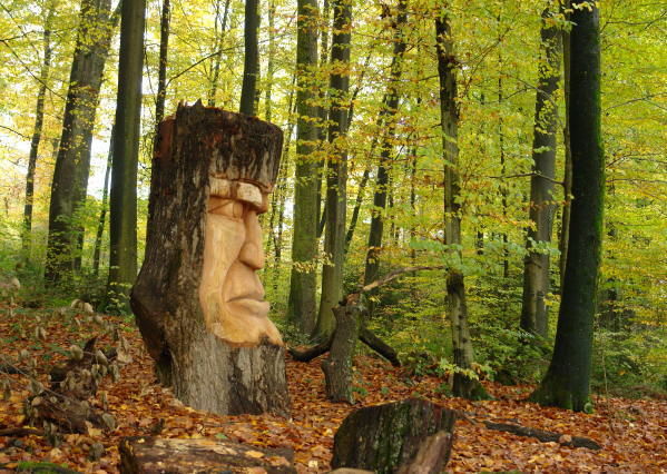 Cabeza tallada en un tronco de árbol en la Casa del Bosque WaldHaus