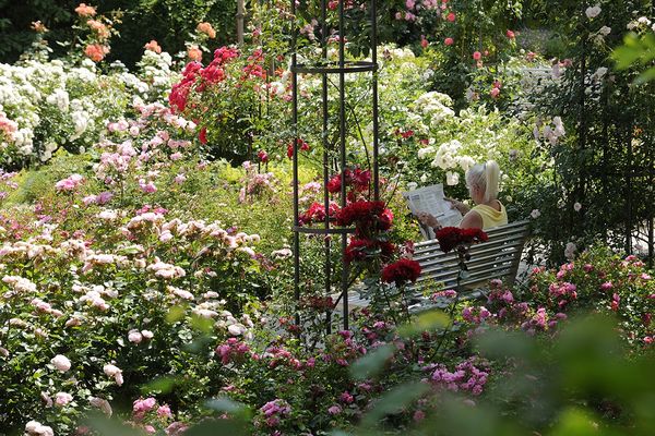 Rosengarten | Landkreis Freising