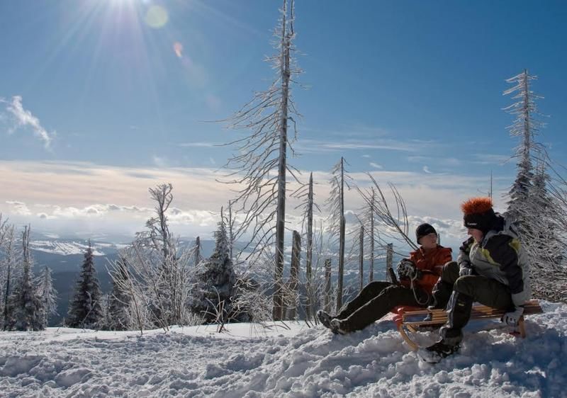 Wintererlebnis beim Schlittenfahren im Nationalpark-FerienLand Bayerischer Wald