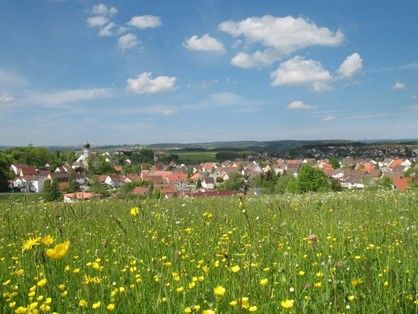 Blick auf Frittlingen