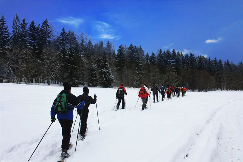 Schneeschuhwandern in Furth im Wald