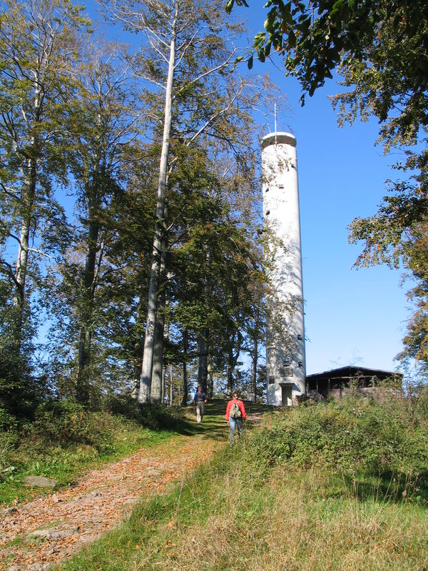 Mahlbergturm bei Gaggenau im Murgtal