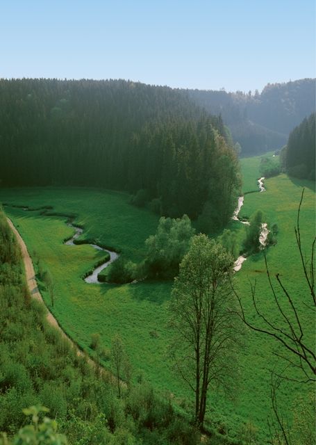 Naturschutzgebiet Fehlatal