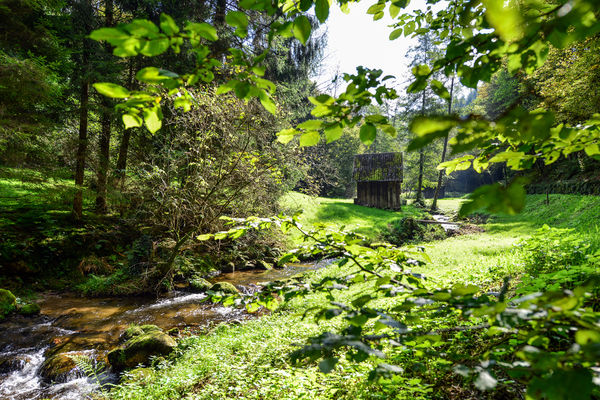 Heuhütte im Reichenbachtal bei Gernsbach