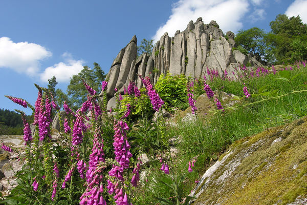 Gernsbach-Reichental - Orgelfelsen